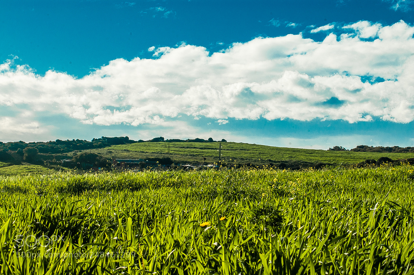 Nikon D50 sample photo. Paysage photography