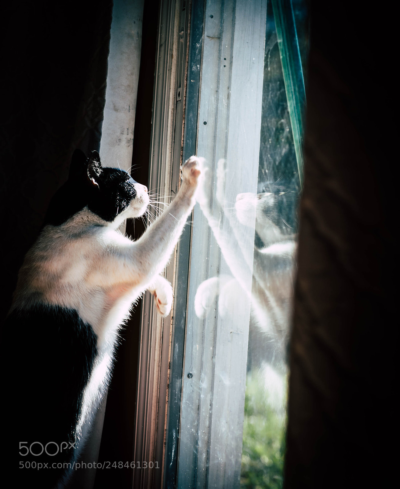 Nikon D700 sample photo. Glass door photography