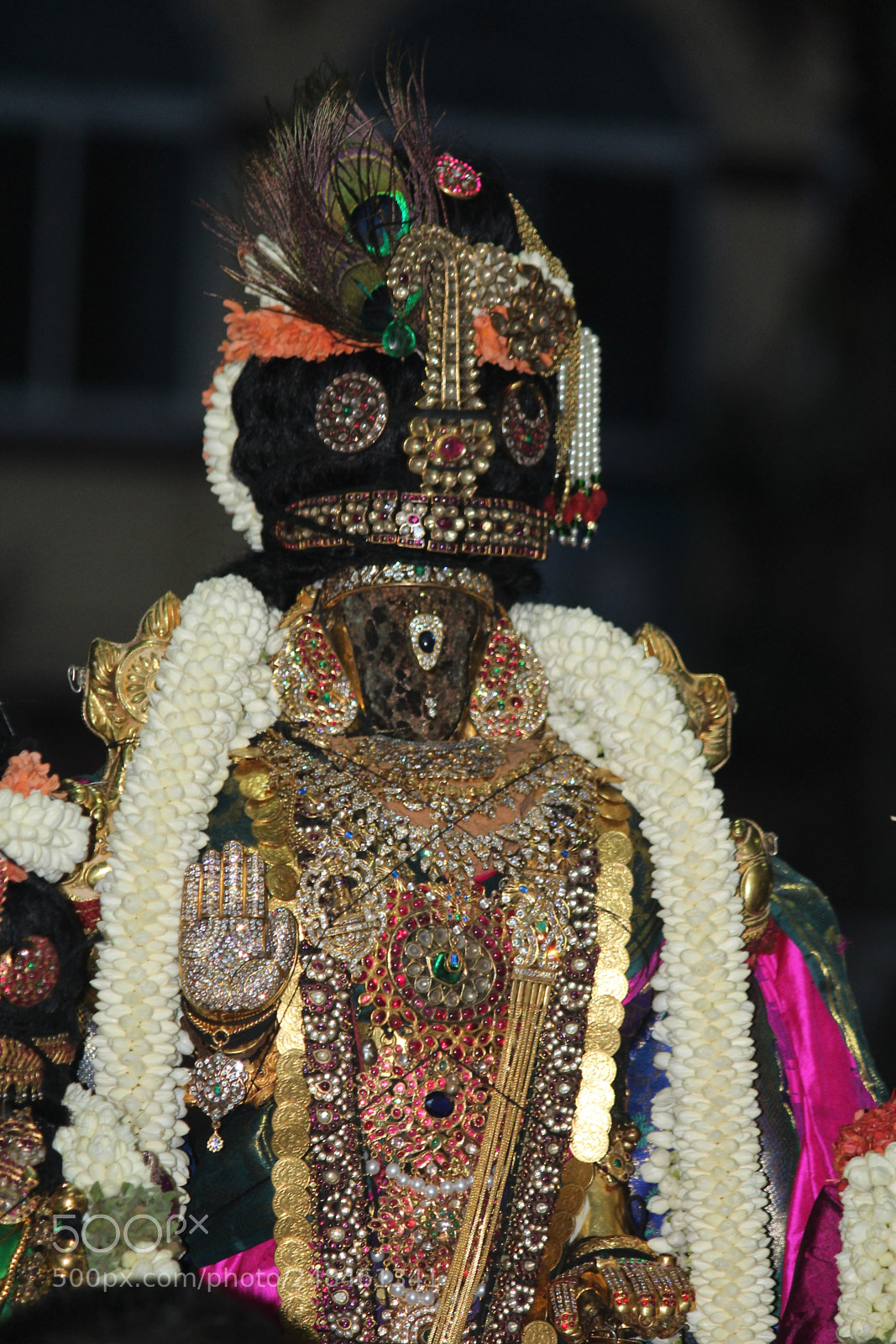 Canon EF-S 55-250mm F4-5.6 IS II sample photo. Upendra parthasarathy photography