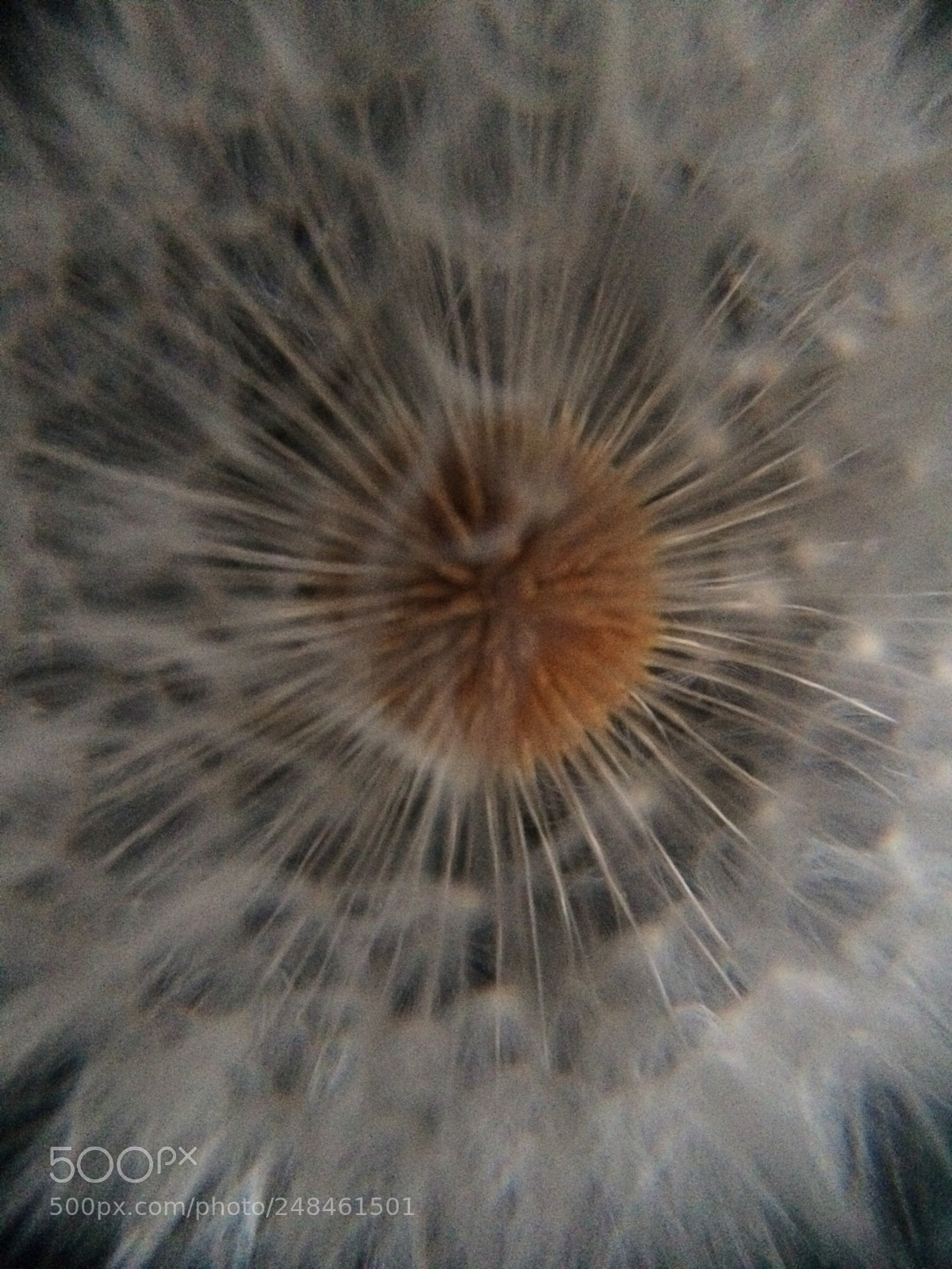 Apple iPhone 5s sample photo. My favourite paperweight photography