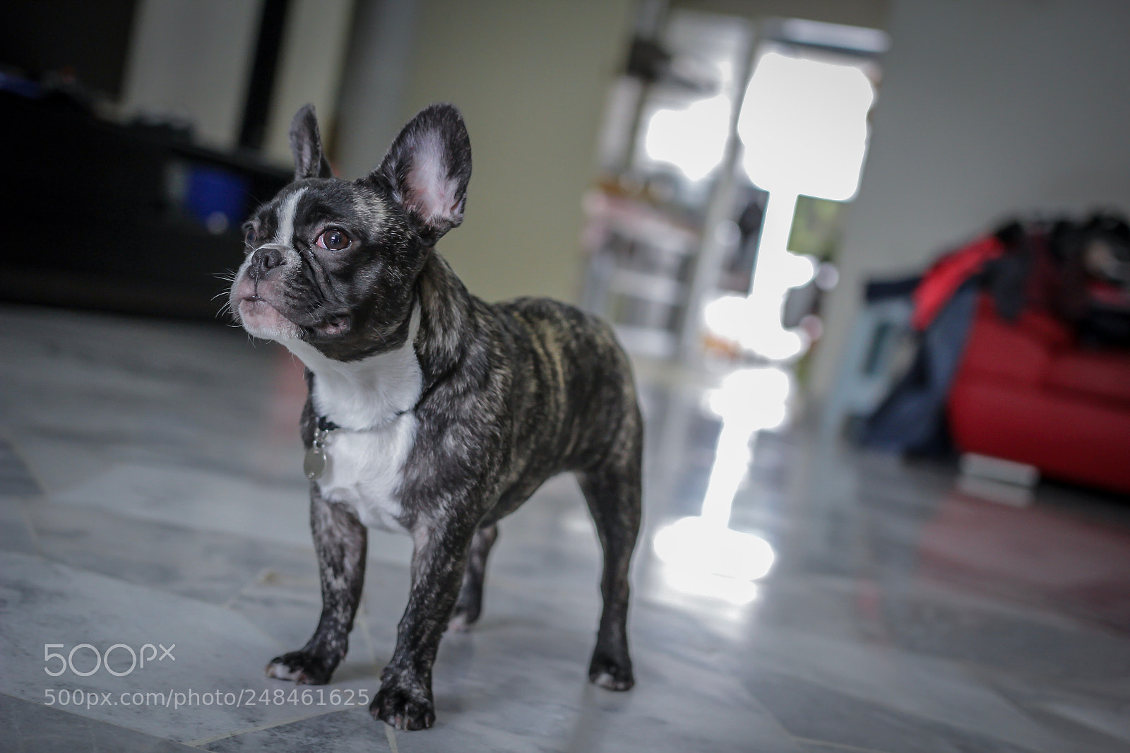 Canon EOS 60D sample photo. Untitled photography