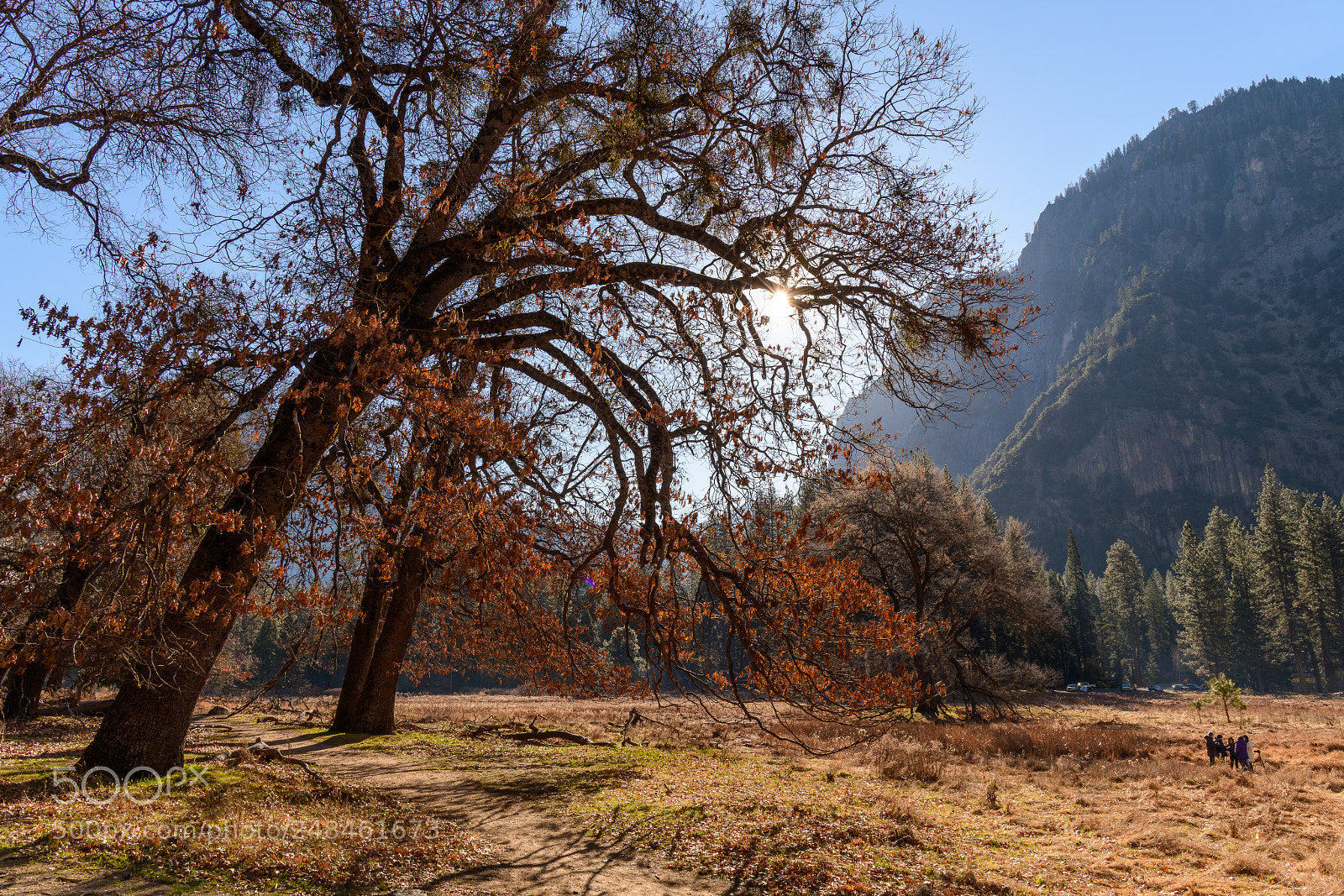 Nikon D850 sample photo. Cooks meadow, yosemite national photography