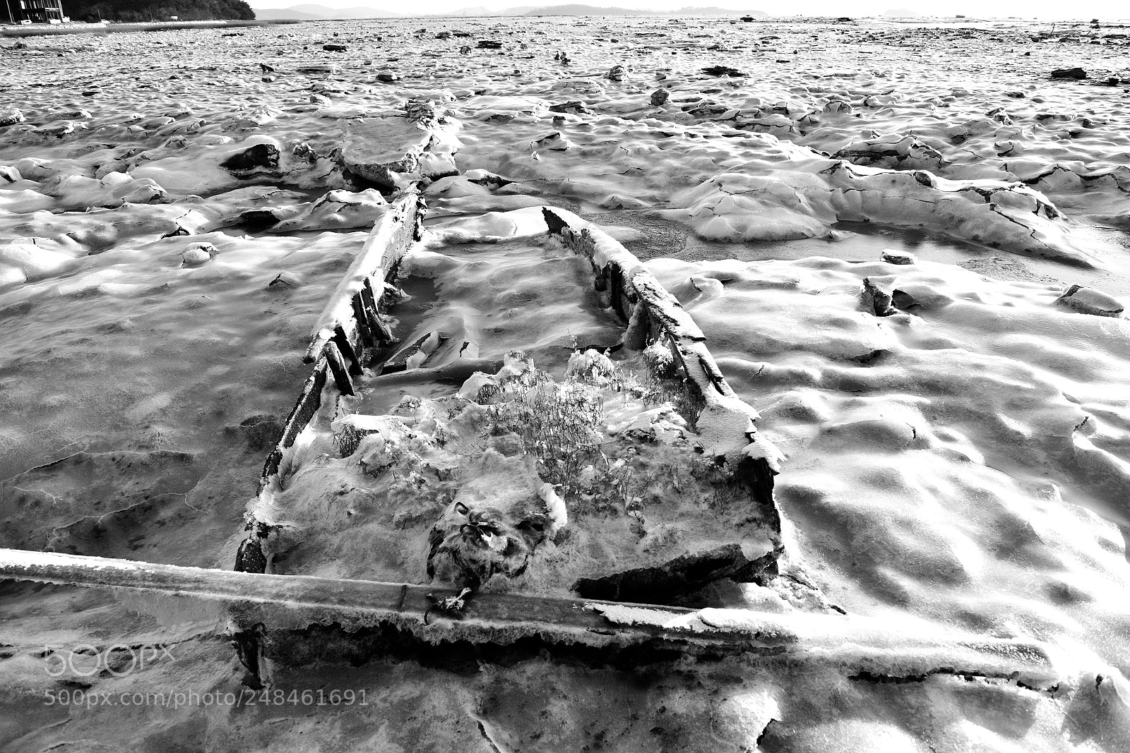 Nikon D810 sample photo. Winter of seaside. photography