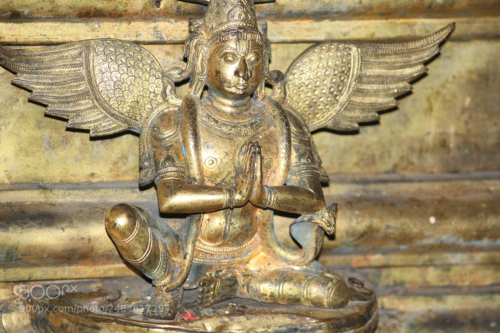 Canon EF-S 55-250mm F4-5.6 IS II sample photo. Upendra parthasarathy photography