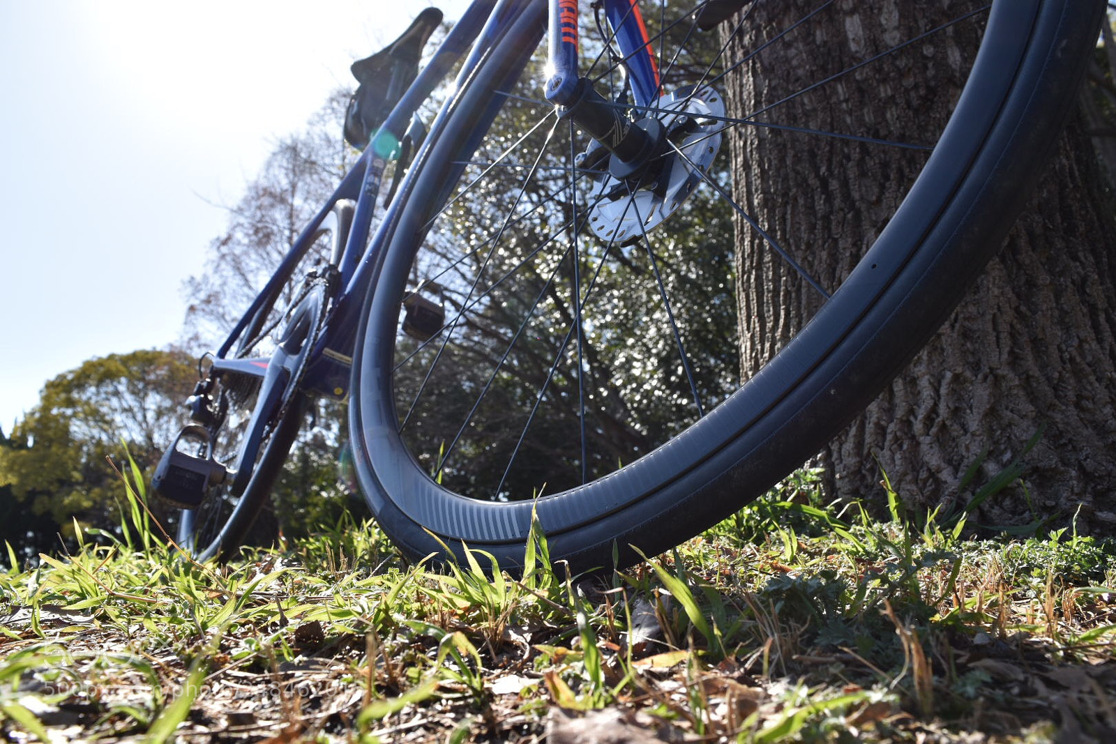 Nikon D5500 sample photo. Big bike photography