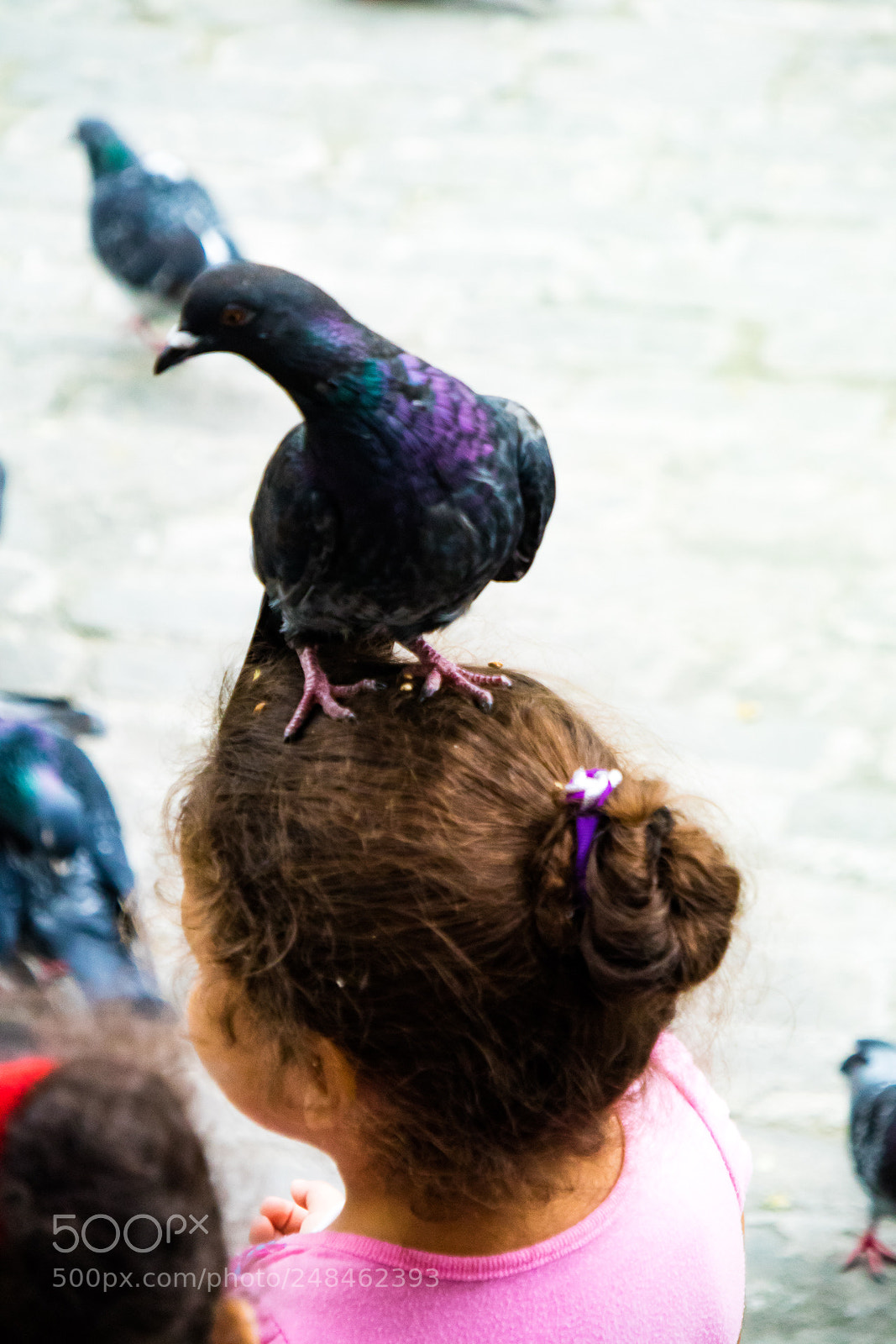 Canon EOS M3 sample photo. Dove on child photography