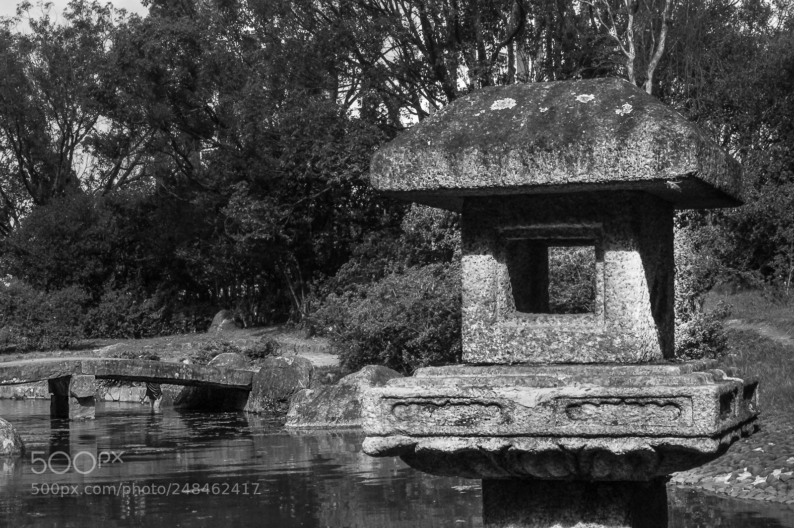 Nikon D90 sample photo. Editar photography