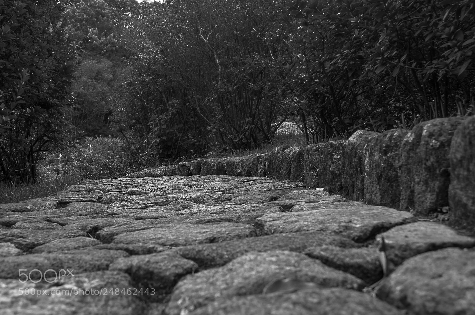 Nikon D90 sample photo. Editar photography