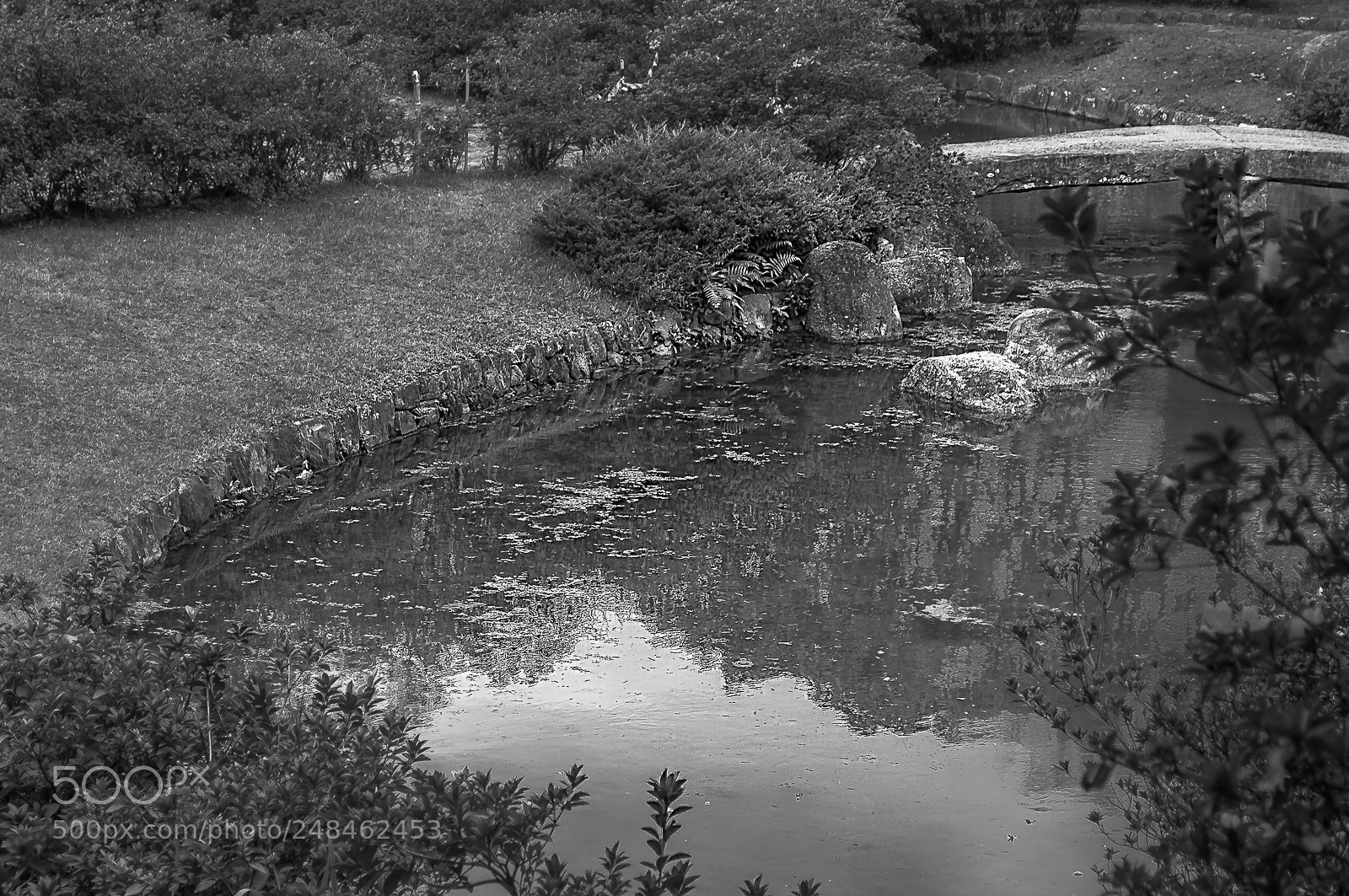 Nikon D90 sample photo. Editar photography