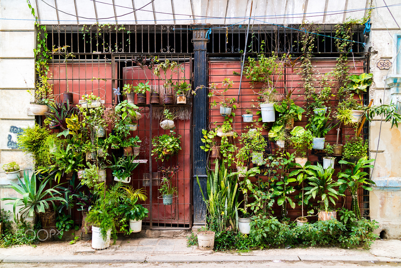 Canon EOS M3 sample photo. Plants on door photography