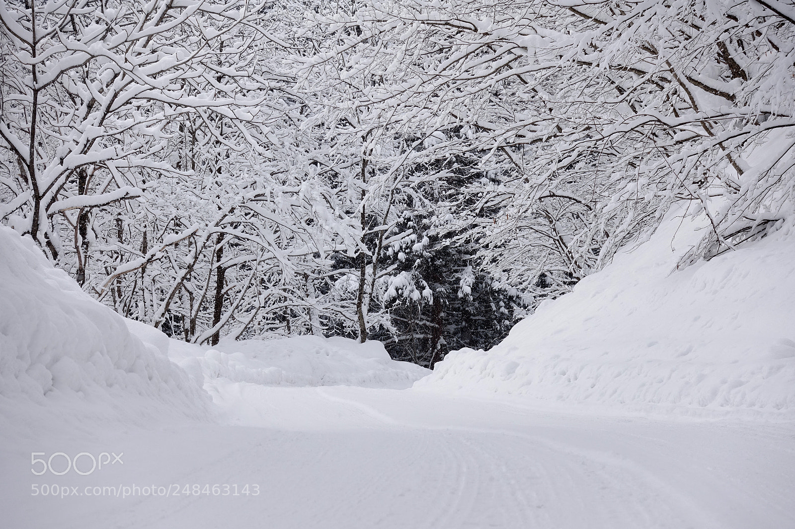Sony Cyber-shot DSC-RX100 IV sample photo. A heavy snow photography