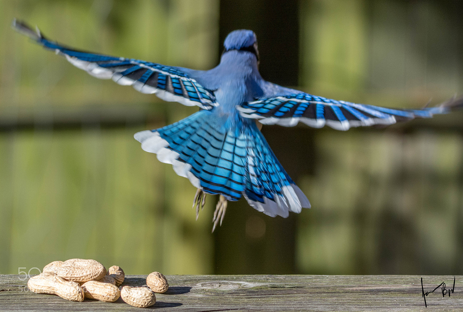 Nikon D7100 sample photo. Breakfast to go photography