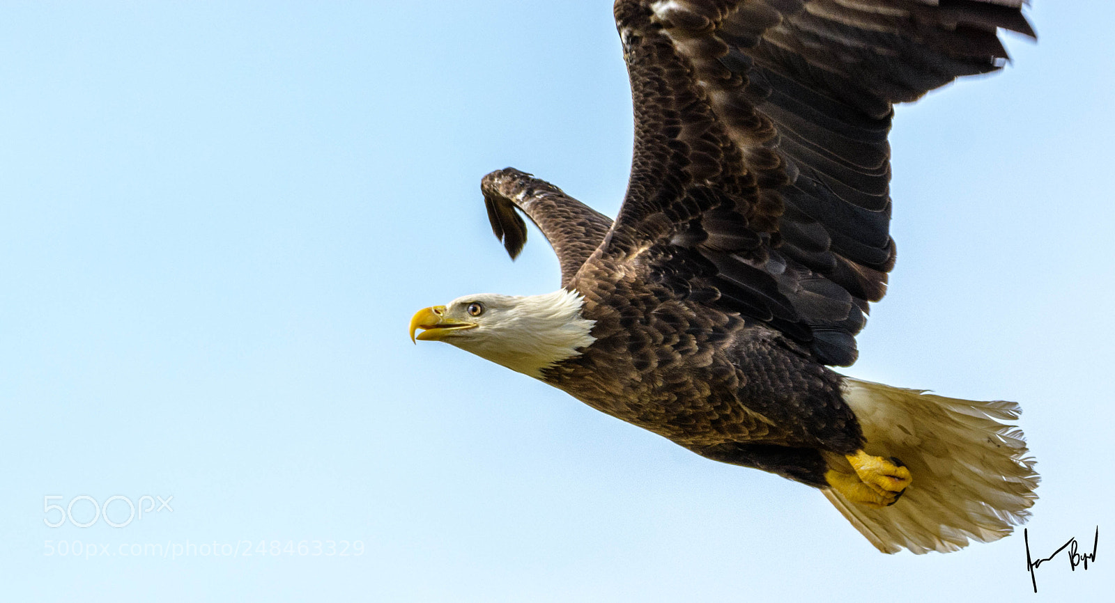 Nikon D7100 sample photo. Freedom photography