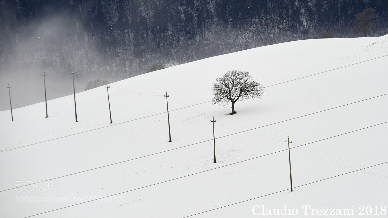 Nikon D600 sample photo. In snow, geometry. photography