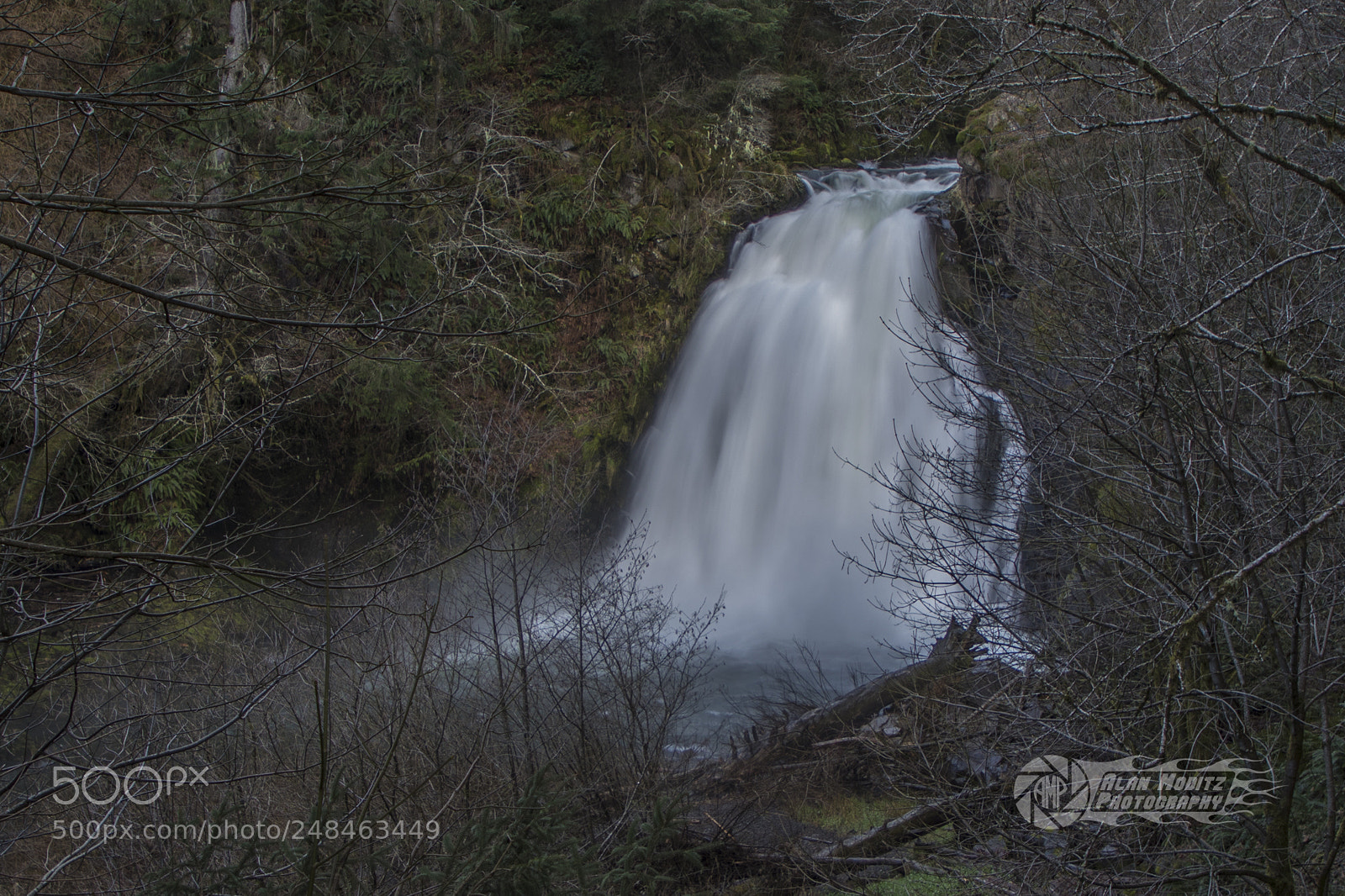 Canon EOS 7D Mark II sample photo. Youngs river falls photography