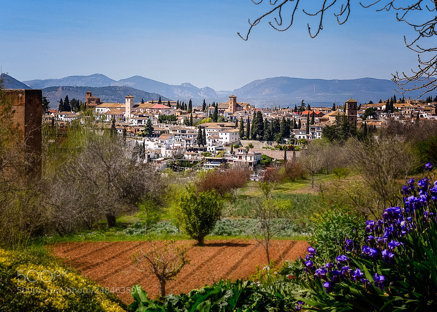 Nikon D5100 sample photo. Alhambra granada photography