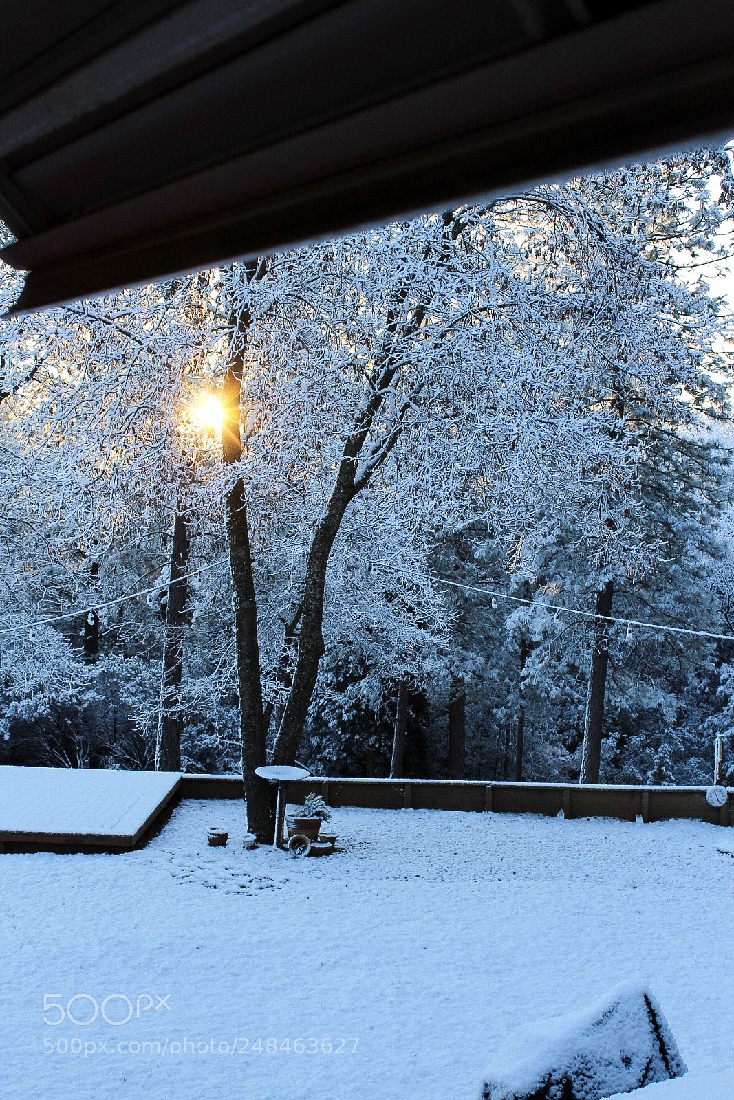 Canon EOS 1300D (EOS Rebel T6 / EOS Kiss X80) sample photo. Snowy morning photography