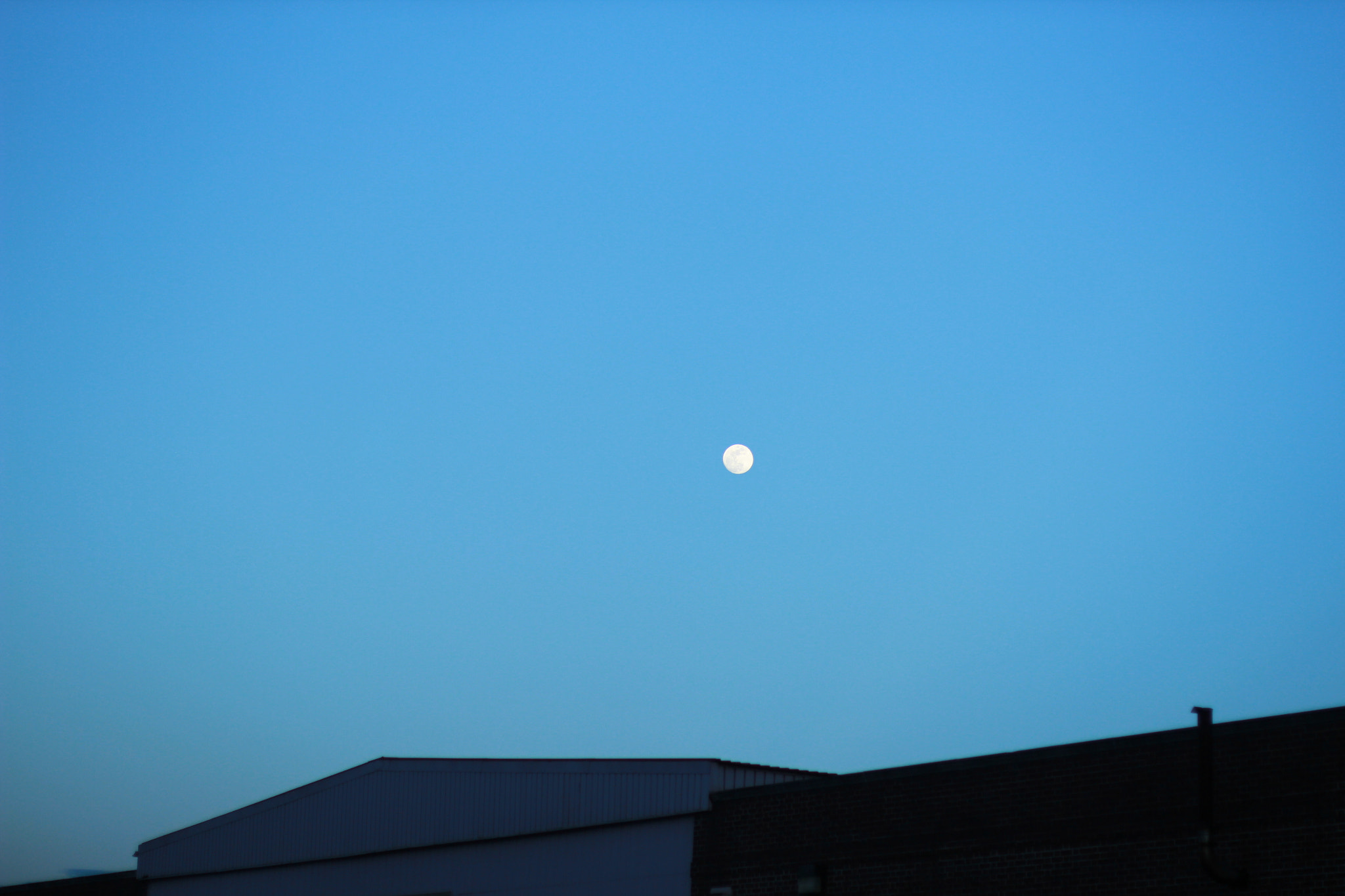 Canon EF 50mm F1.4 USM sample photo. Img photography