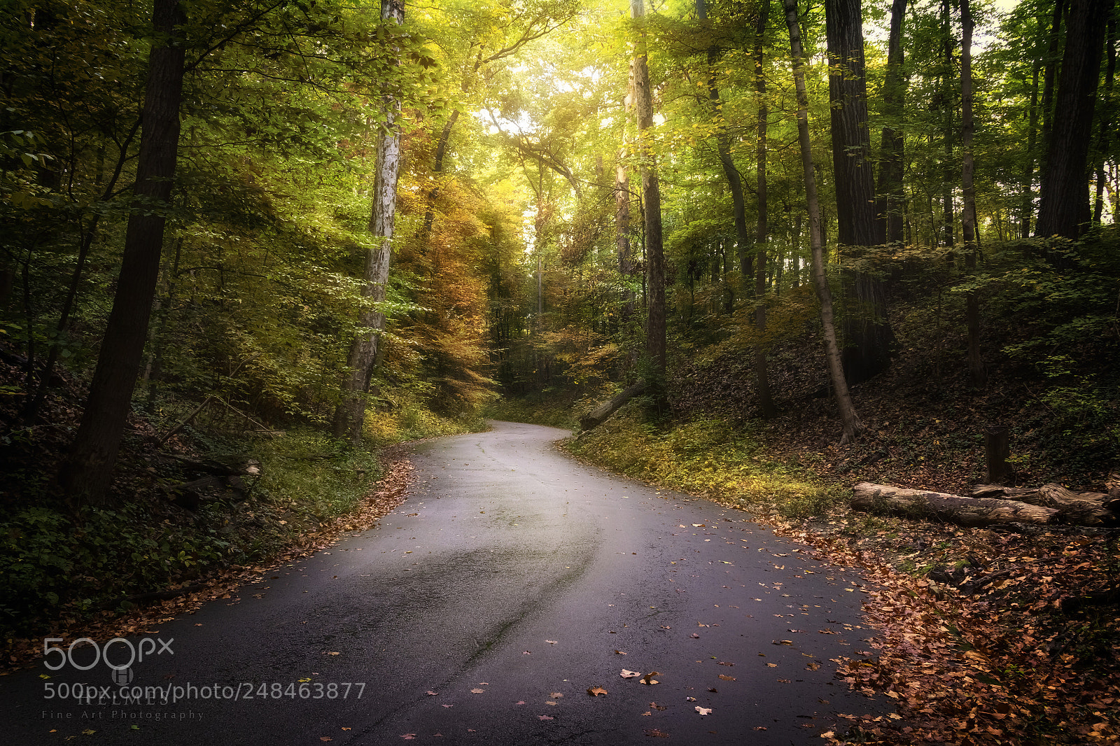 Canon EOS 60D sample photo. Winding road photography