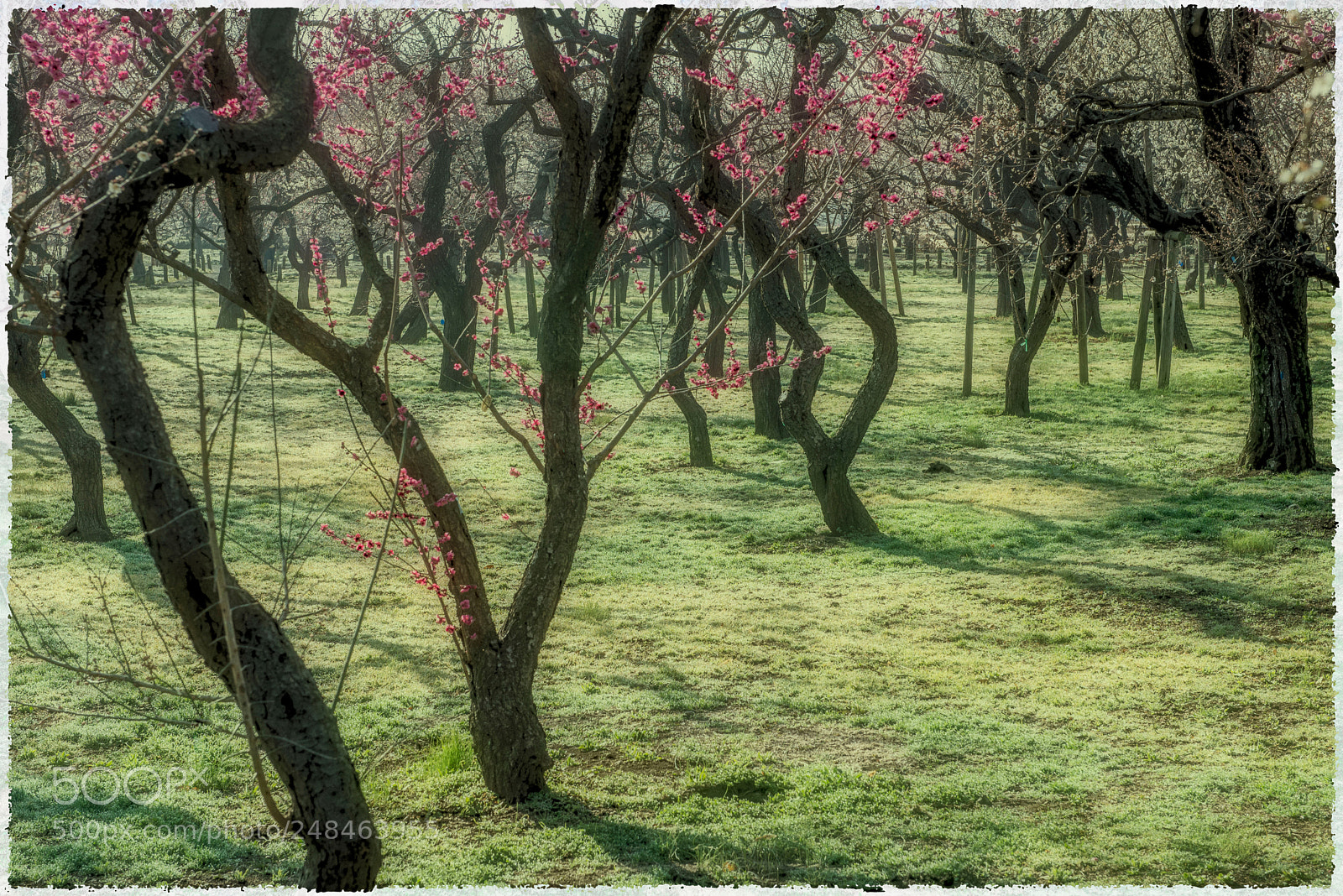 Nikon D600 sample photo. Here and there photography