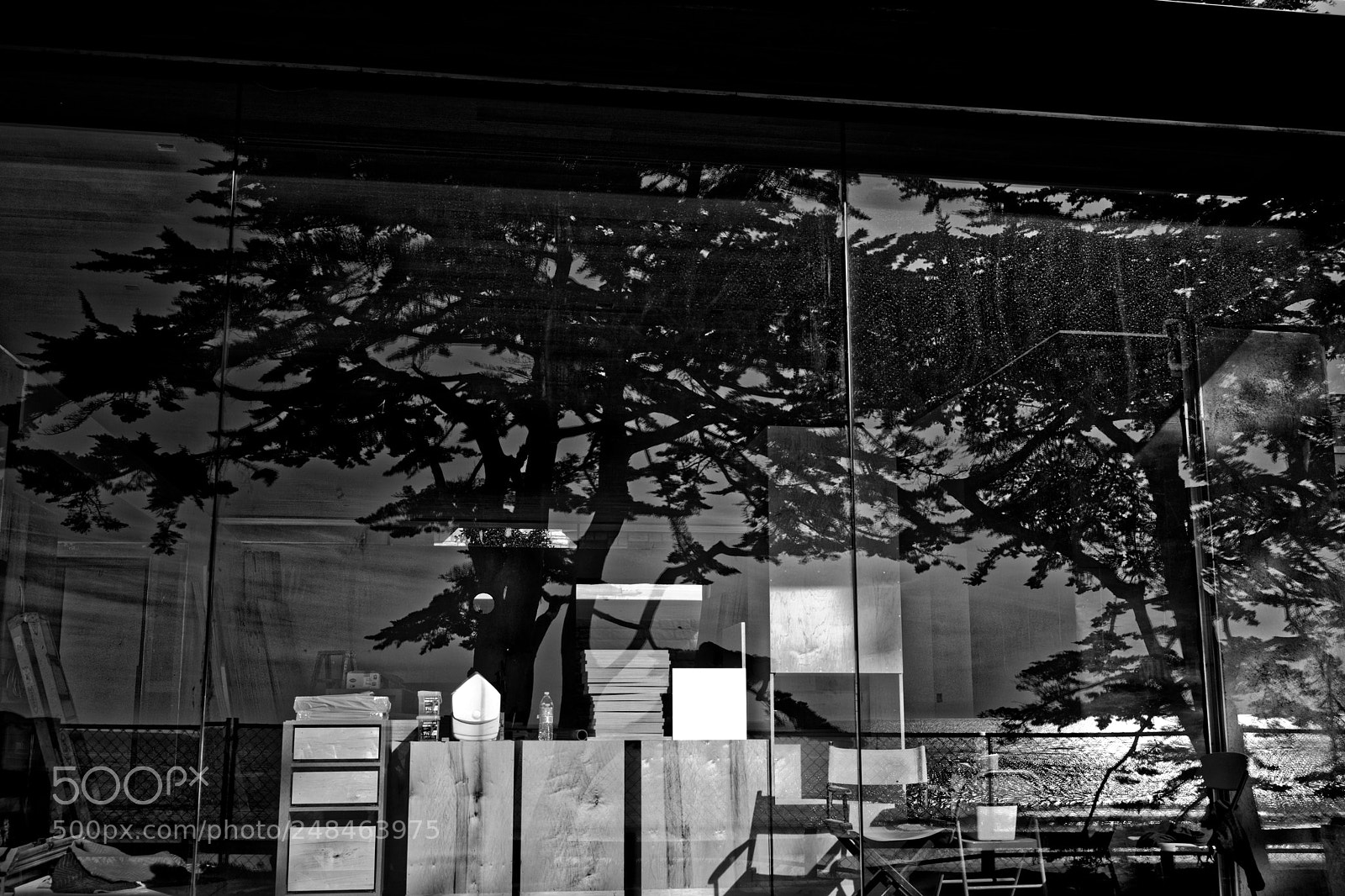 Leica M (Typ 240) sample photo. Carmel 74 photography