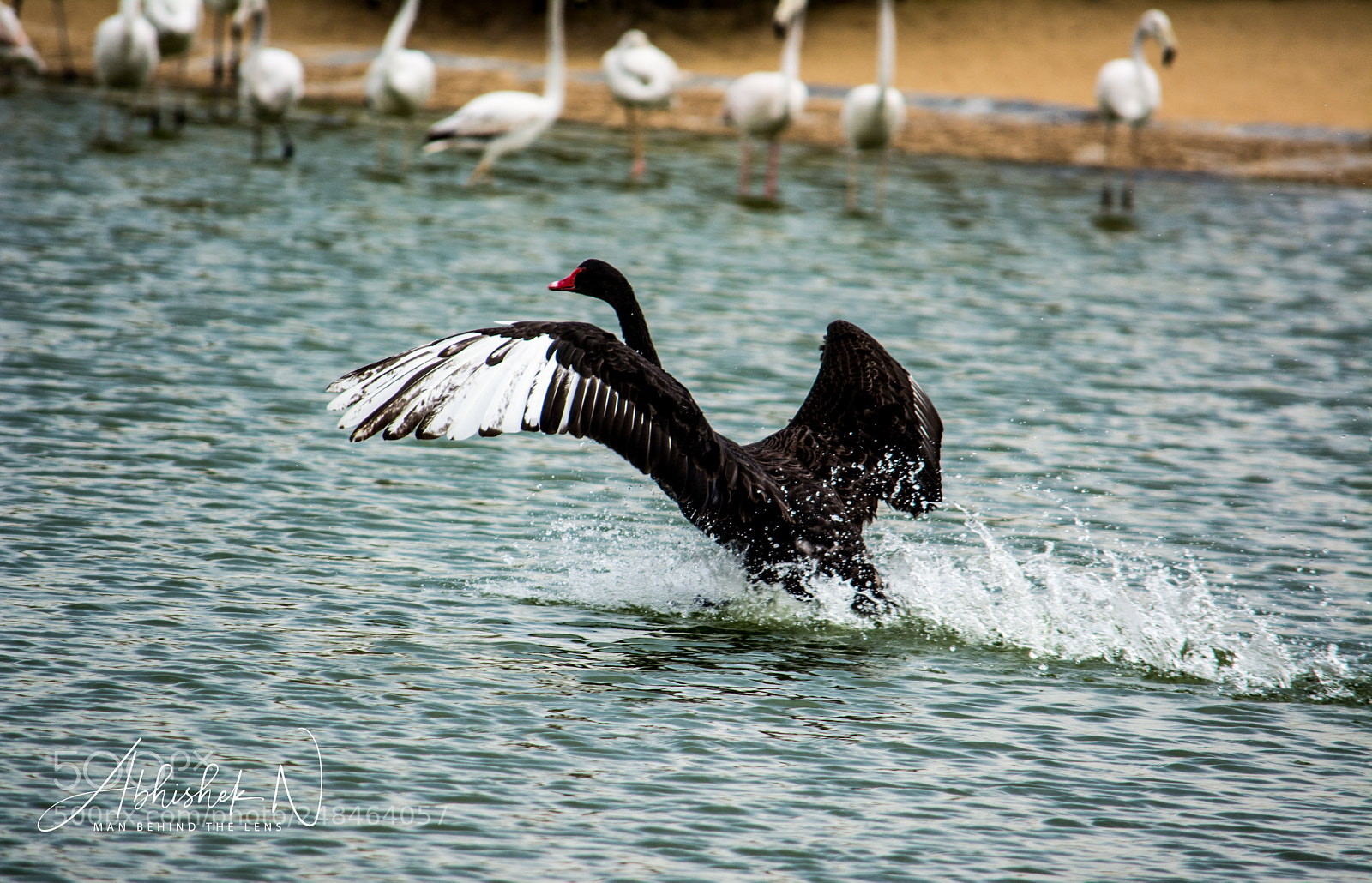 Nikon D5200 sample photo. Crash landing photography