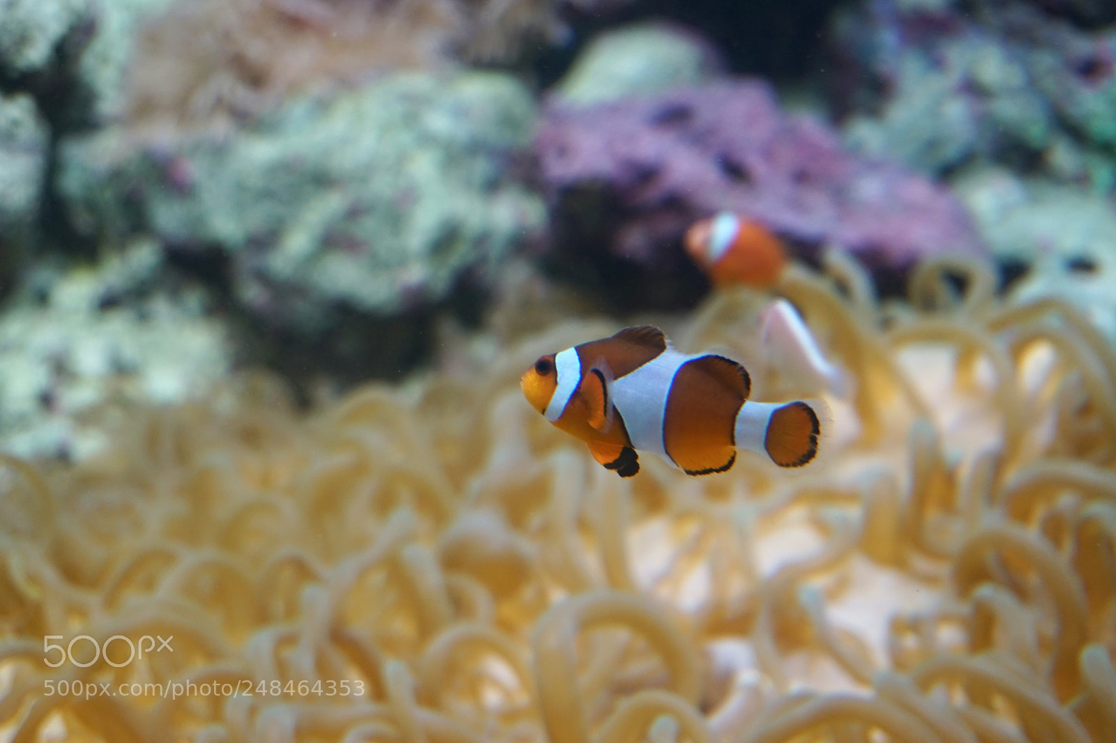 Sony a6000 sample photo. And you will be photography