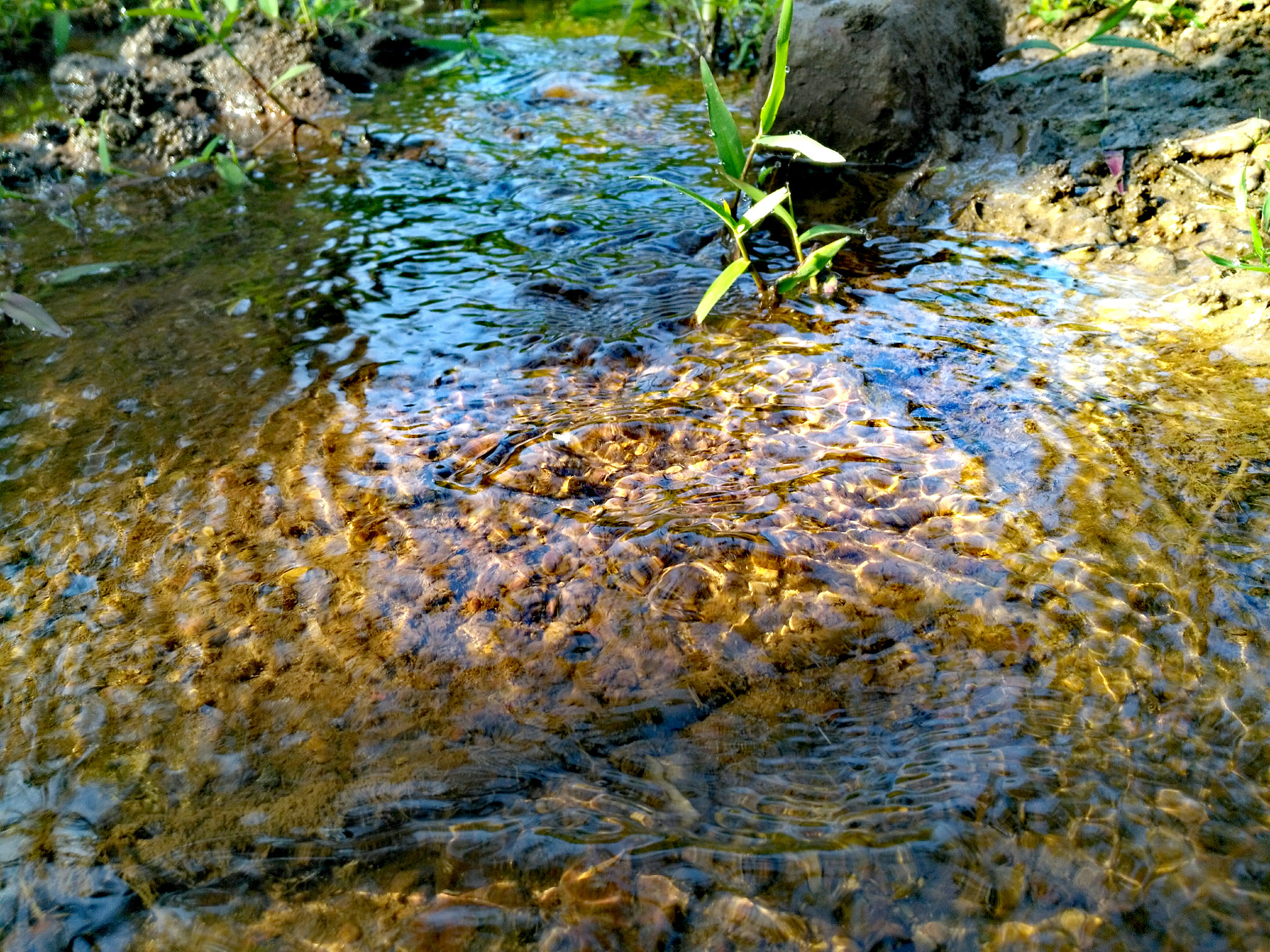 HUAWEI Honor 5X sample photo. Img_20171225_092228.jpg photography