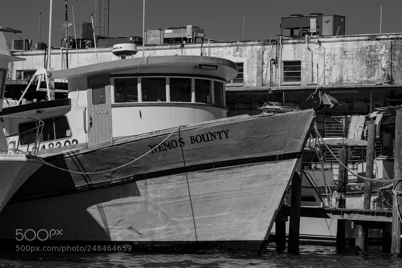 Nikon D5300 sample photo. Nemos bounty photography
