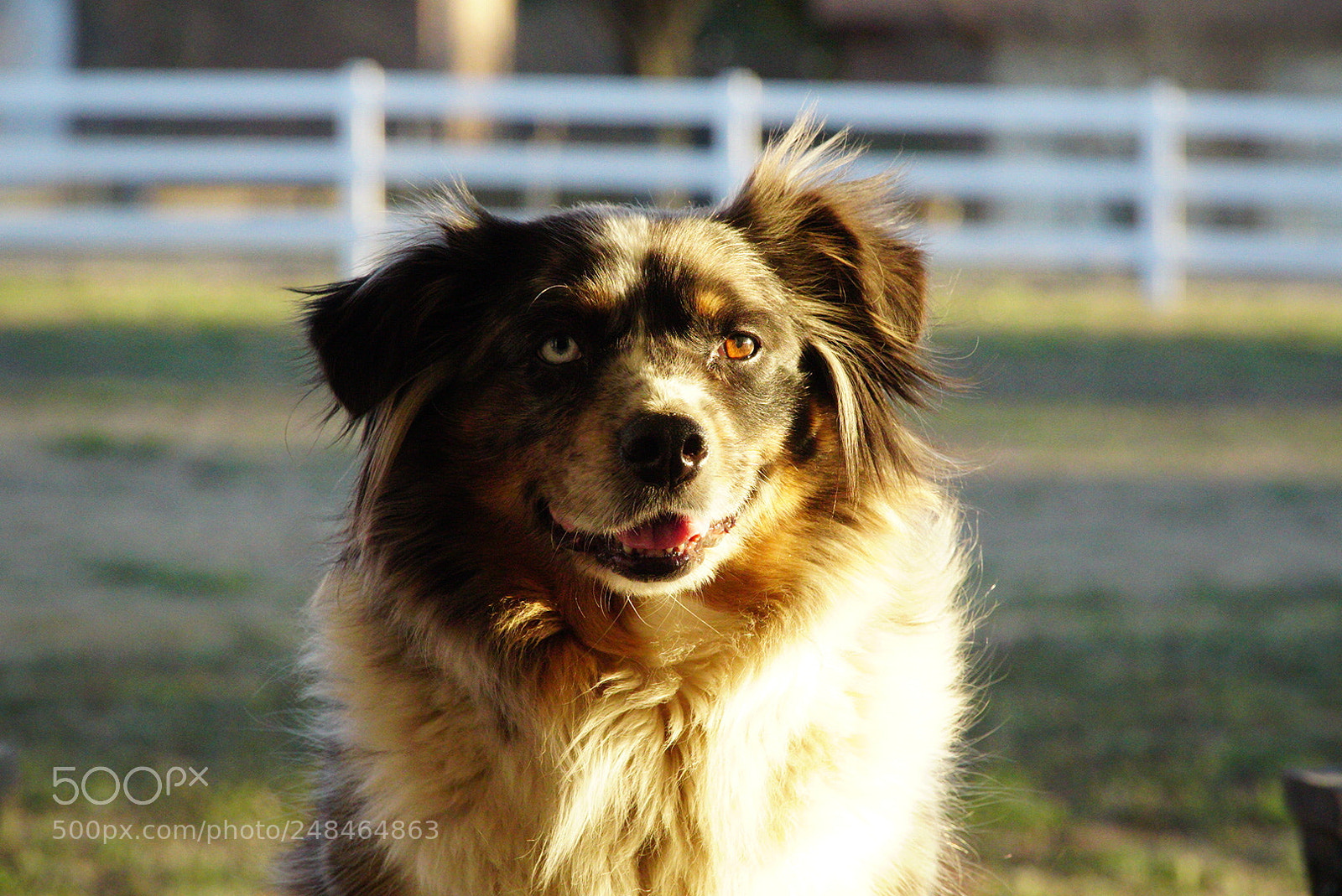 Sony a6500 sample photo. Cheese photography