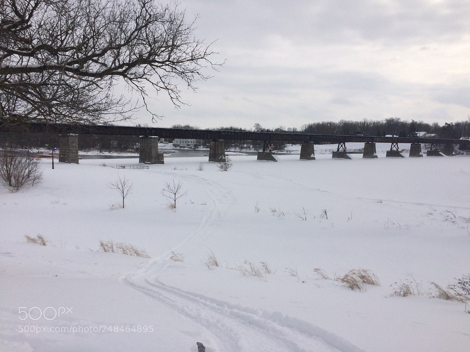 Apple iPhone 5s sample photo. A cold trip across photography