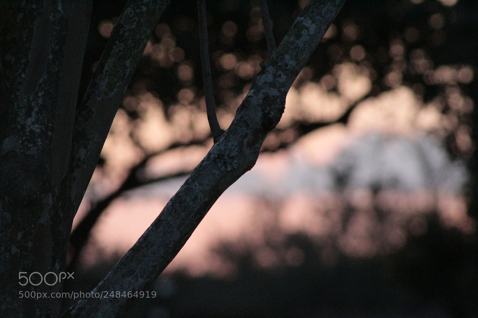 Canon EF 75-300mm f/4-5.6 sample photo. Mg photography