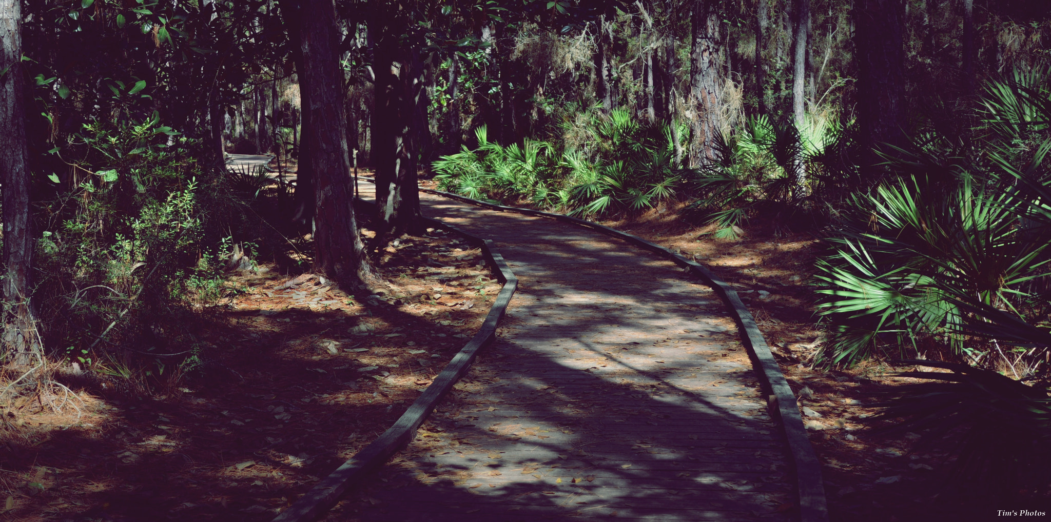 Nikon D3200 sample photo. Follow me photography