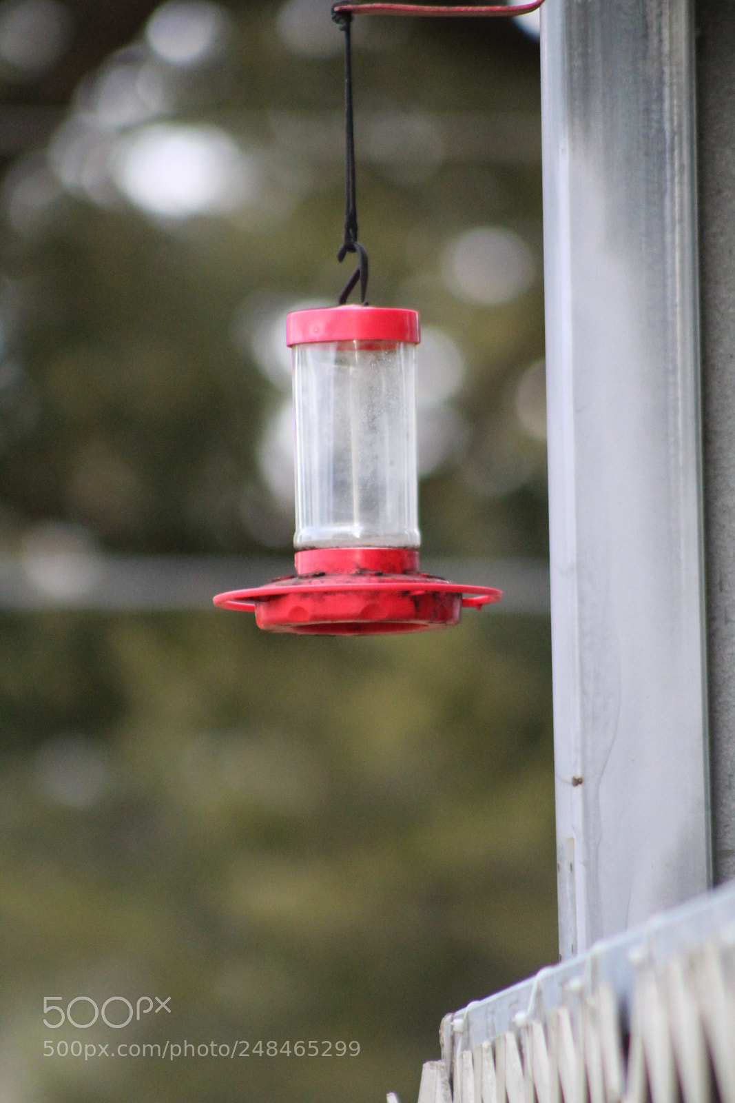 Canon EF 75-300mm f/4-5.6 sample photo. () photography