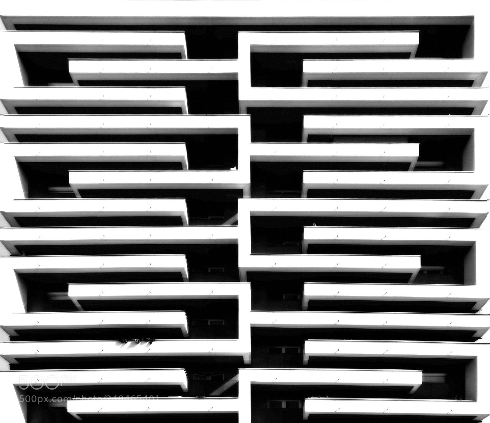 Nikon D3400 sample photo. A mighty maze photography