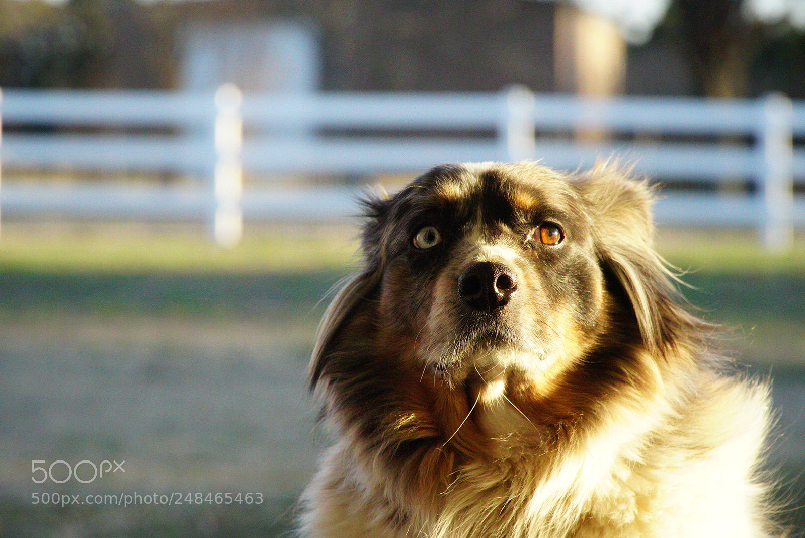 Sony a6500 sample photo. Frightening photography