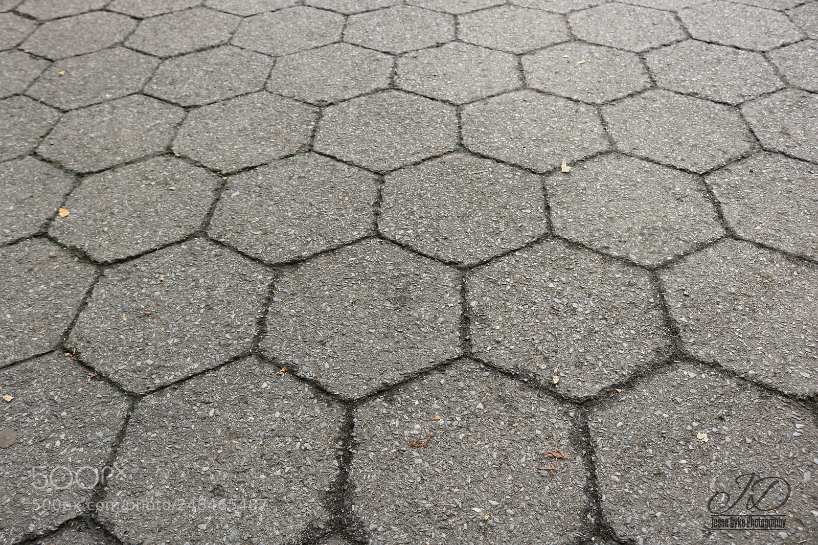 Canon EOS 750D (EOS Rebel T6i / EOS Kiss X8i) sample photo. Hexagons photography