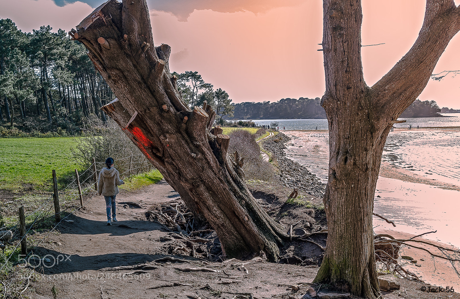 Nikon D700 sample photo. Golfe du morbihan. photography