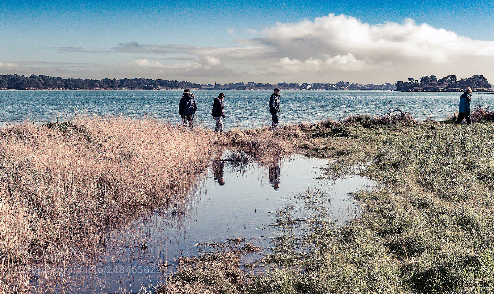 Nikon D700 sample photo. Golfe du morbihan. photography
