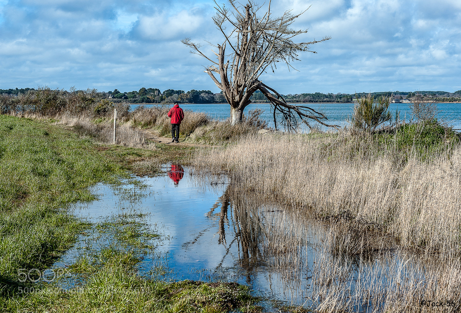 Nikon D700 sample photo. Golfe du morbihan. photography