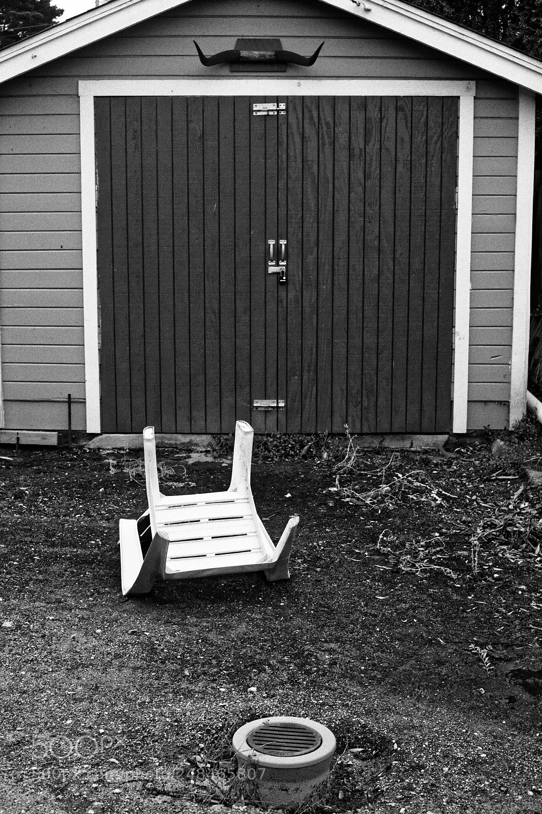 Leica M (Typ 240) sample photo. Monterey back yard photography