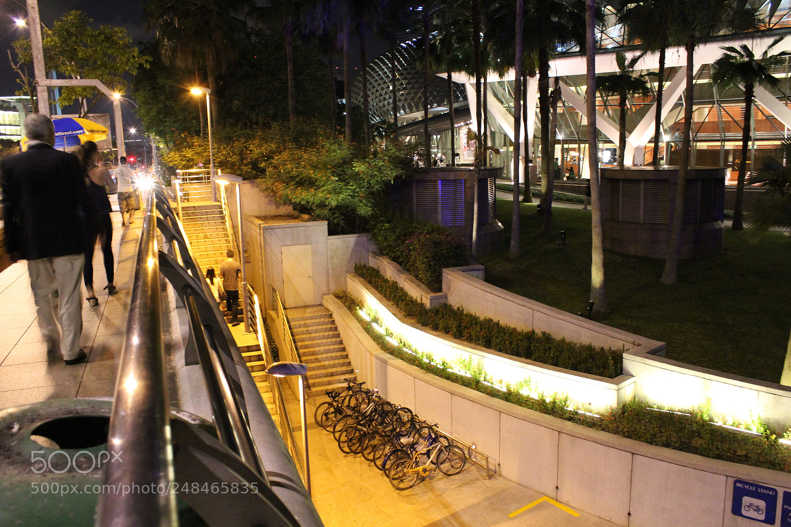 Canon EOS 600D (Rebel EOS T3i / EOS Kiss X5) sample photo. Healthy walk photography