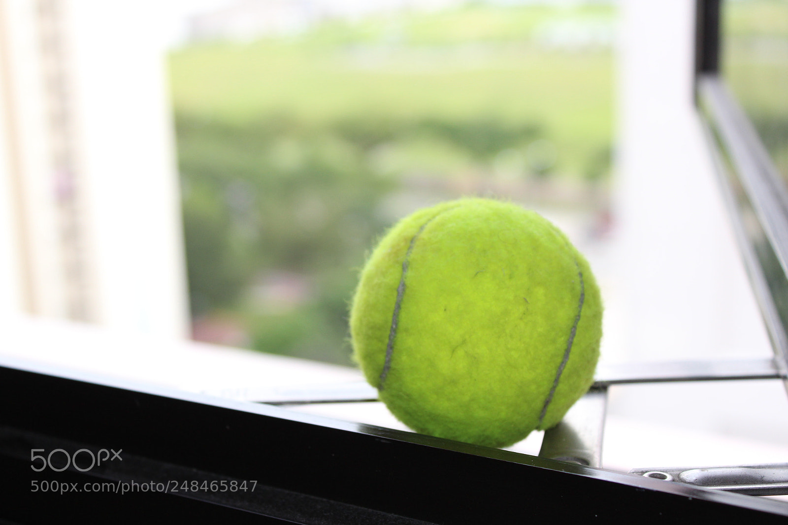 Canon EOS 600D (Rebel EOS T3i / EOS Kiss X5) sample photo. Falling out photography
