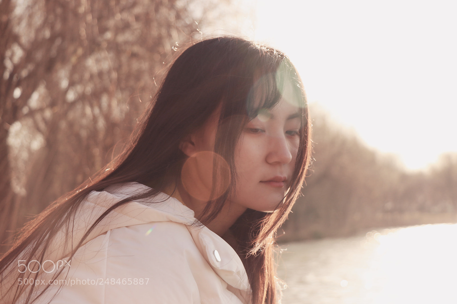 Canon EOS 80D sample photo. Untitled photography