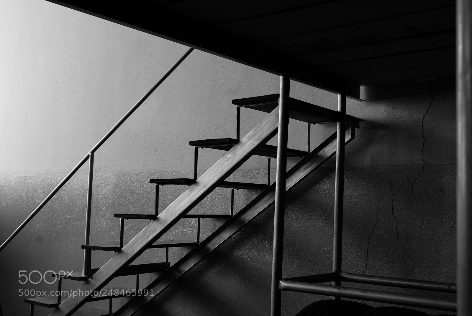 Nikon D3400 sample photo. Composition photography