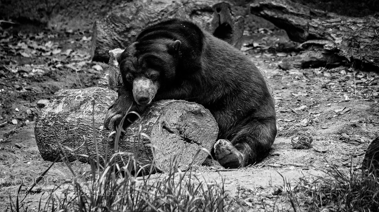 Sony Alpha NEX-5N sample photo. Nap time photography