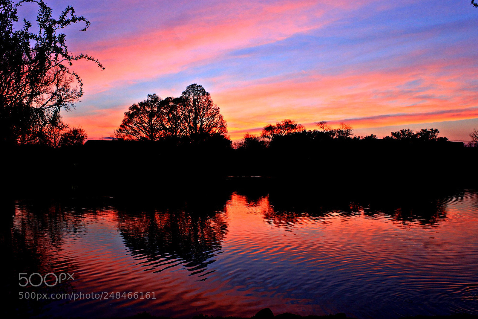 Canon EOS 1100D (EOS Rebel T3 / EOS Kiss X50) sample photo. Yoctangee lake photography