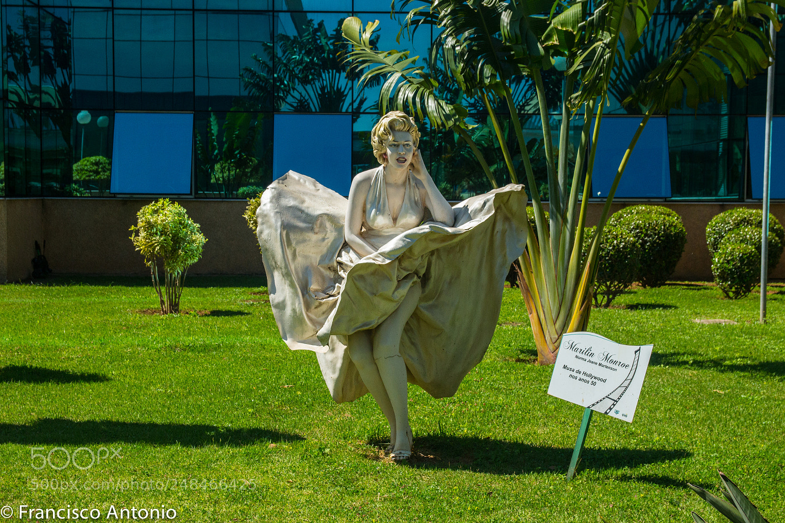 Canon EOS 700D (EOS Rebel T5i / EOS Kiss X7i) sample photo. Cinema photography