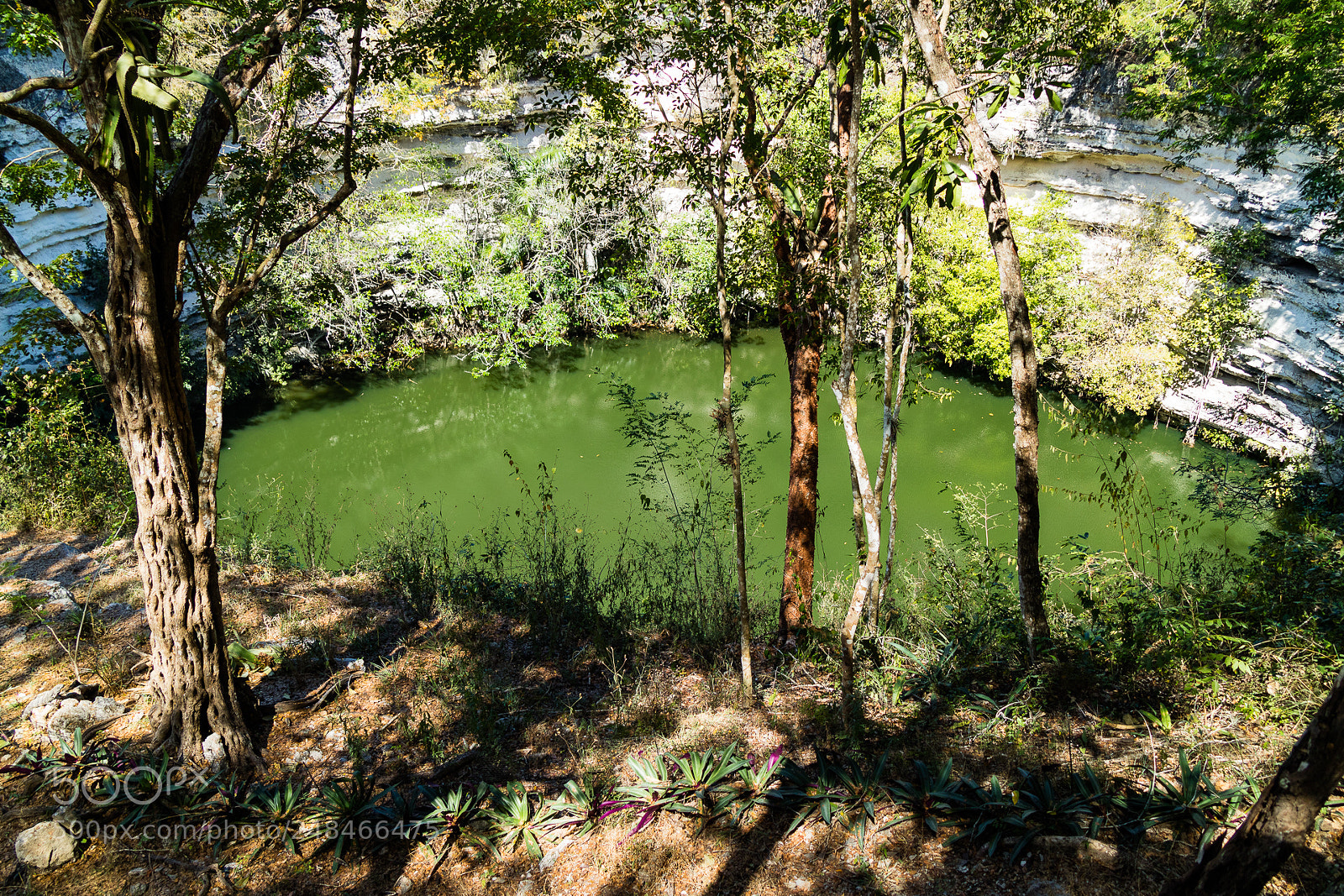 Canon EOS M3 sample photo. Cenote photography