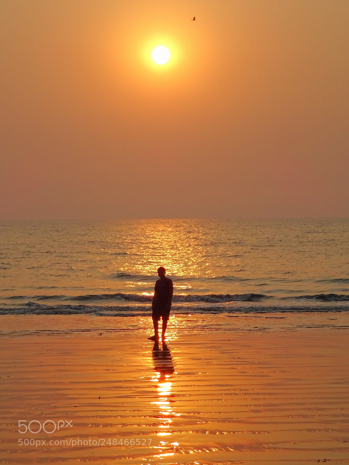 Sony DSC-HX60V sample photo. Sun set photography